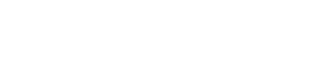 Logo Natindo Cargo
